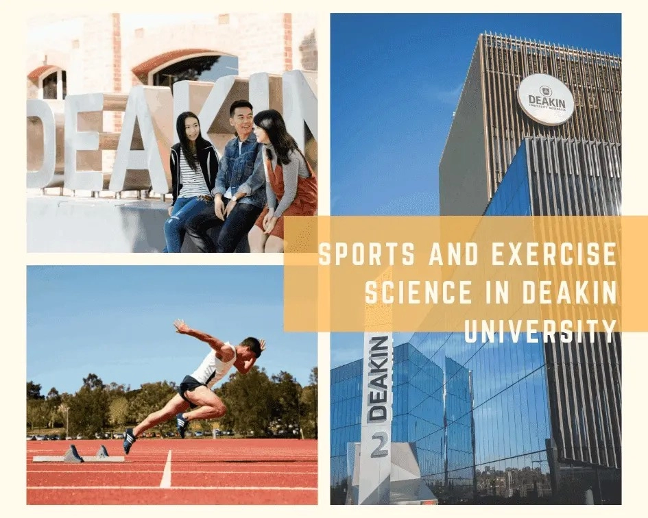 Study Sports And Exercise Science Overseas AECC