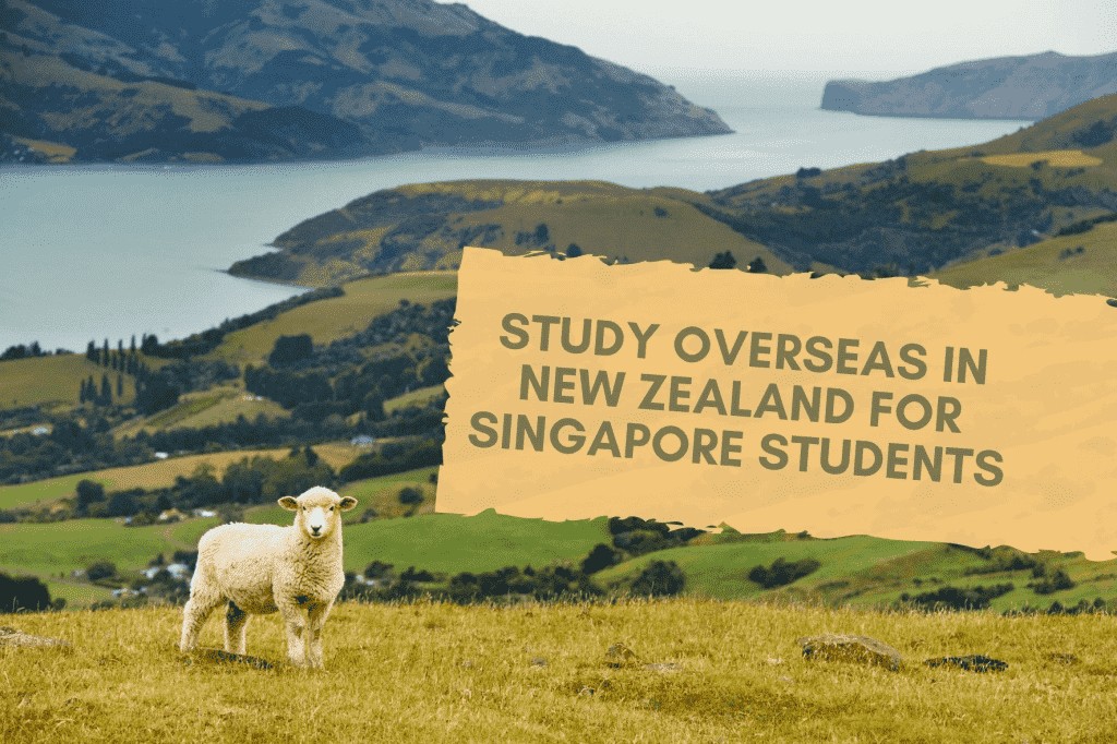 study-overseas-in-new-zealand-for-singapore-students
