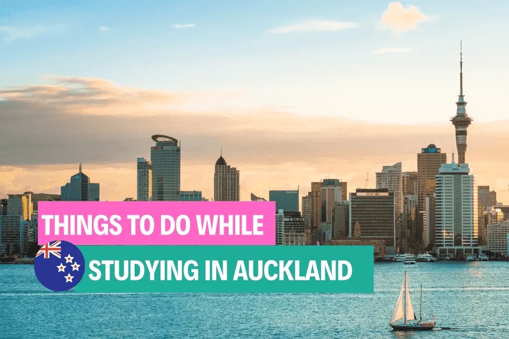 things-to-do-while-studying-in-auckland