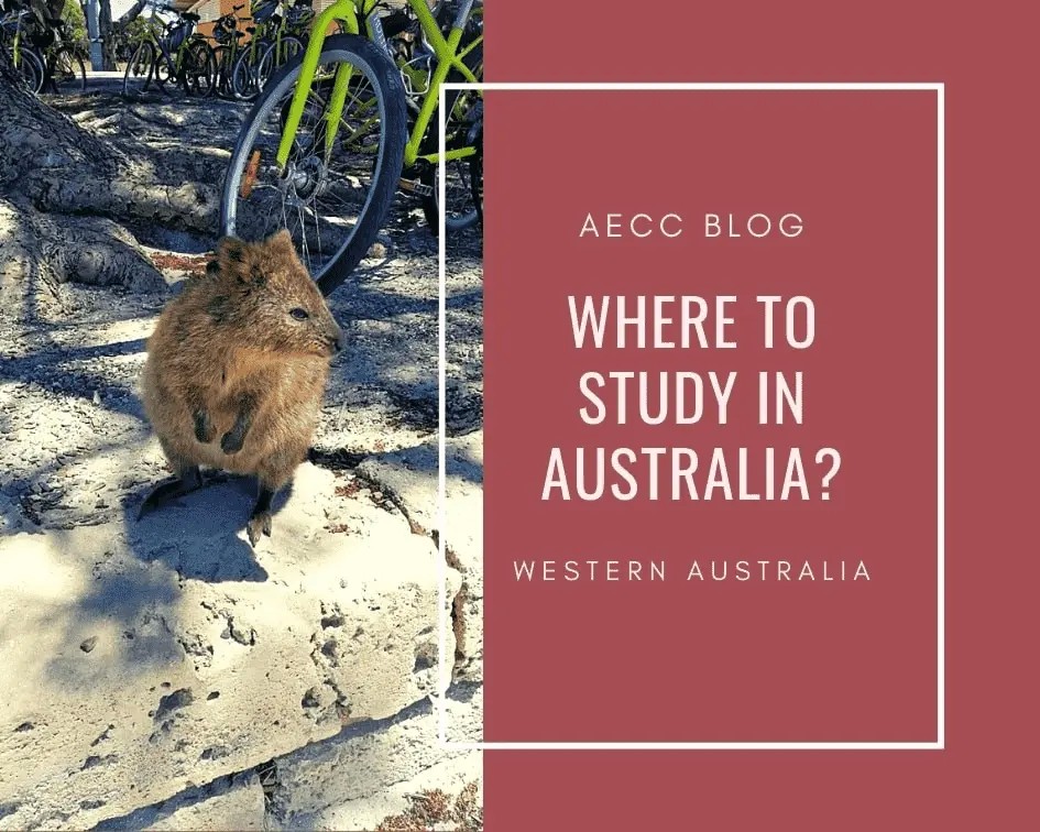 Where-to-study-in-Australia-Western-Australia